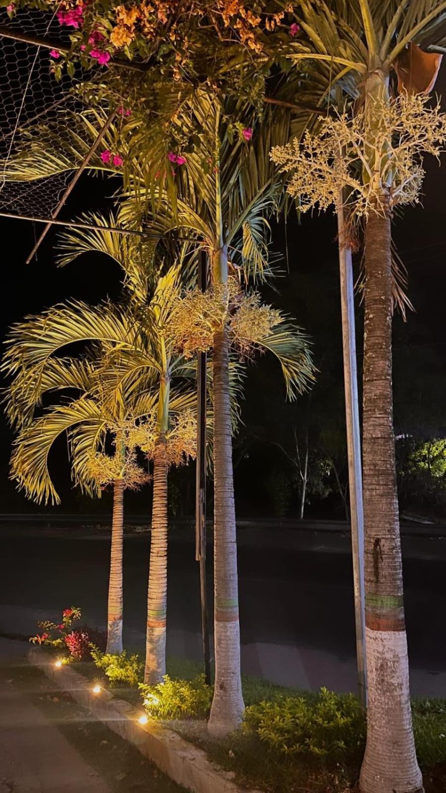 Villa Napoli Santa Ana Esterno foto